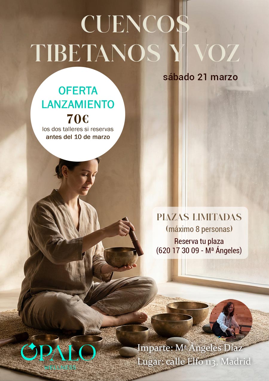 taller cuencos tibetanos y voz